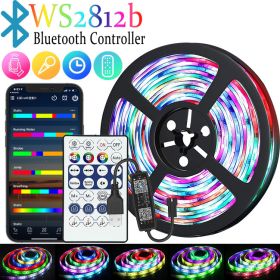 RGB Color-changing 5V Magic USB Light Strip (Option: WS2812b BHT IR-15M)