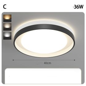 Living Room Lamp Modern Super Bright Main (Option: Tricolor dimming-C-40cm)