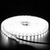 32.8ft/10m LED Strip Light 110V IP65 Waterproof 2500LM Dimmable Rope Light SMD 5050 6000K Cold White Warm